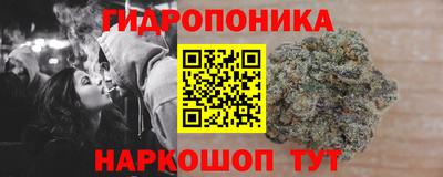 прущие грибы Братск