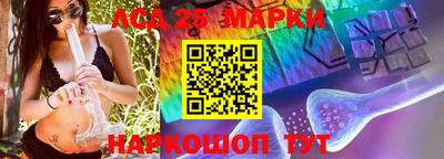 прущие грибы Братск