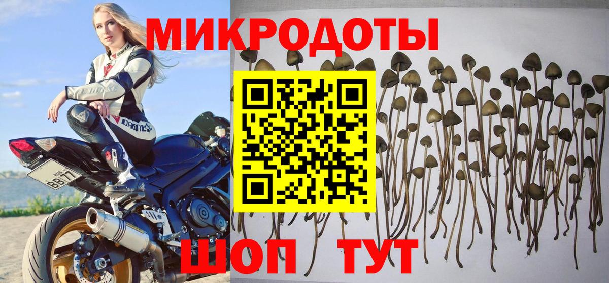 Псилоцибиновые грибы мицелий  Вход с VPN  Кстово 