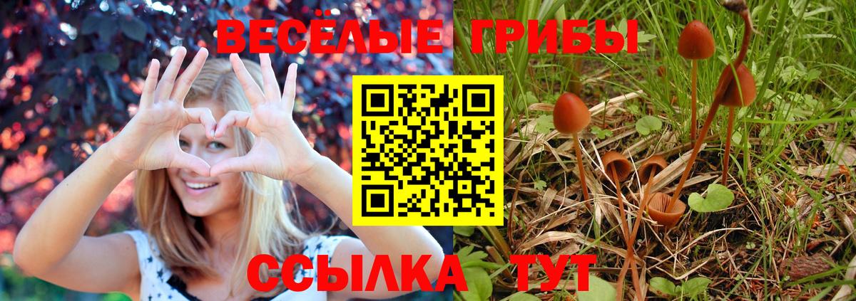 Галлюциногенные грибы мицелий Кстово